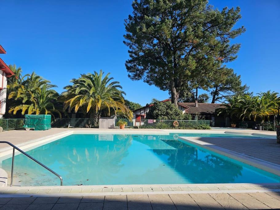 T2 Ciboure 4 Pers Avec Piscine Ideal Vacances Extérieur photo